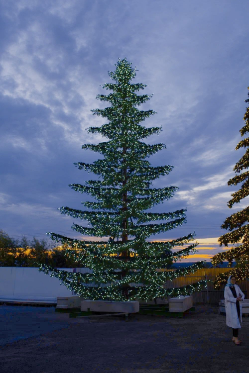 Уличная светодинамическая елка Лесная зеленая 16 м., ствольная, Литая, Green Trees (GT16LESPELED)