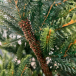 Искусственная ель Королевская стройная зеленая 155 см., 100% литая, TDL (70026)