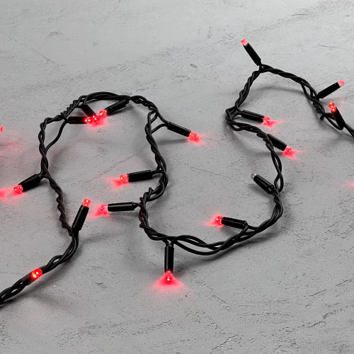 Светодиодная гирлянда Sealed мерцающая 10 м., 220V., 100 красных LED ламп, черный каучук, Beauty Led (LL100BL-1-2R)