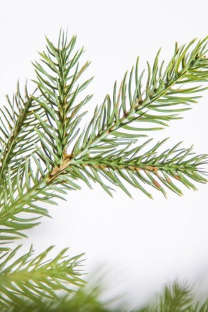 Искусственная ель Датская 215 см., литая хвоя+пвх, Black Box (74046)