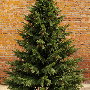 Искусственная ель Сказочная с шишками 3,5 м., 100% литая хвоя, ПромЕлка (31350)