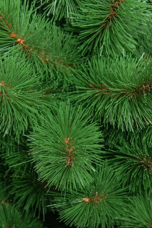 Искусственная сосна Ариадна 180 см., Леска, ЕлкиТорг (51180)