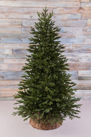 Искусственная ель Ирландская 425 см., литая хвоя+пвх, Black Box (74393)